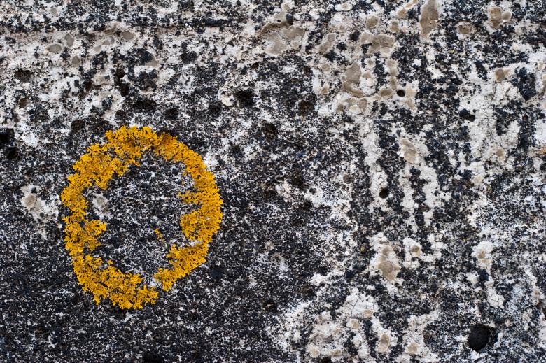 Free stock image of Yellow Circle on Concrete created by Bjorgvin