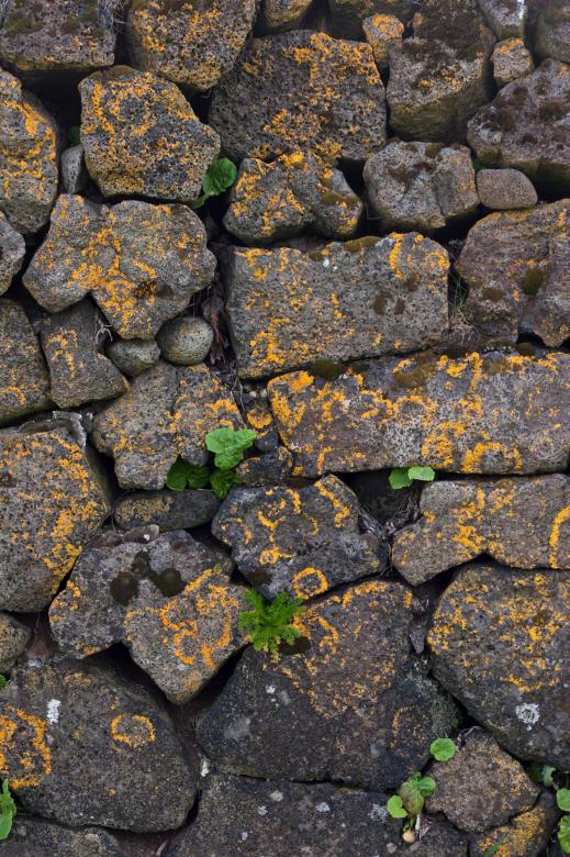 Free stock image of Stone Wall Texture created by Bjorgvin
