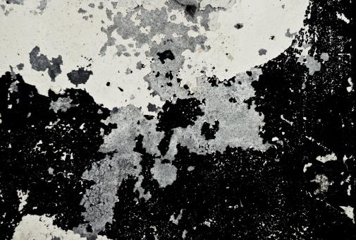 Free Stock Photo of Peeled paint