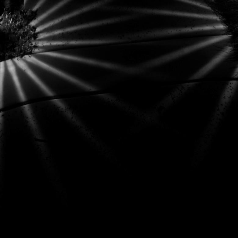 Free stock image of Forms and shadows created by Kenton Bruno
