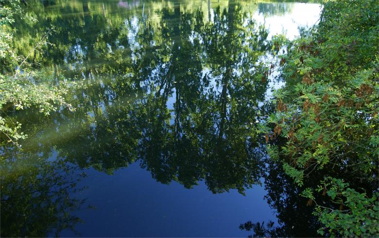 Free stock image of Comme un miroir dans l'eau created by LEBBRECHT
