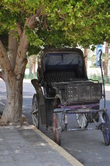 Horse carriage - Free Stock Photo