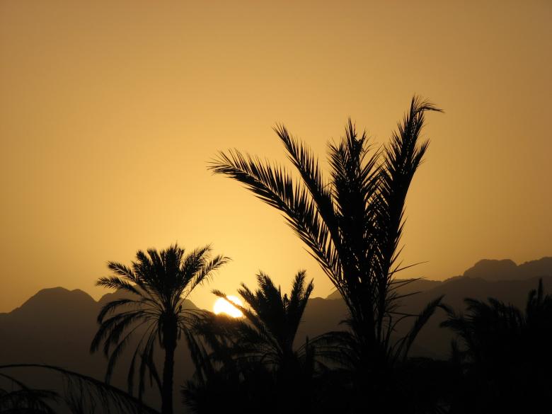 Free stock image of Sunset in Fujairah created by Saiyed Sajjad Imam Abidi