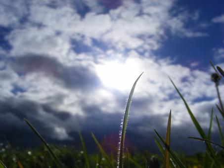 Shining - Free Stock Photo