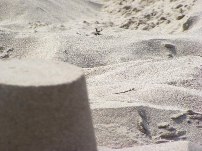 Free stock image of Sandcastle created by Jemogz