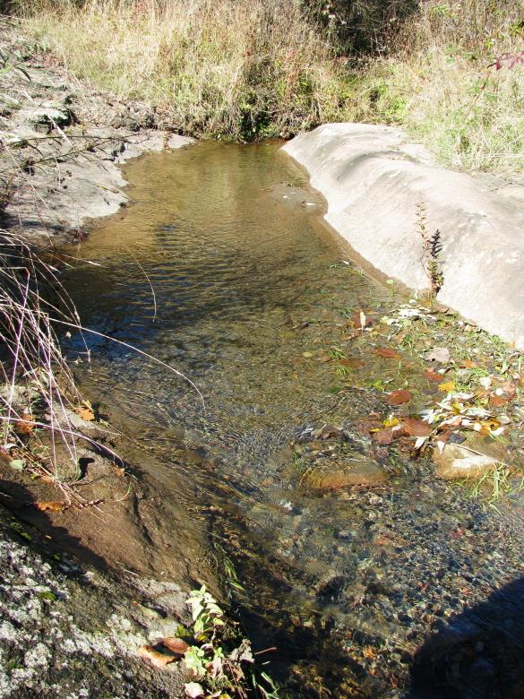 Free stock image of Little mountain stream created by Yuliy Ganev