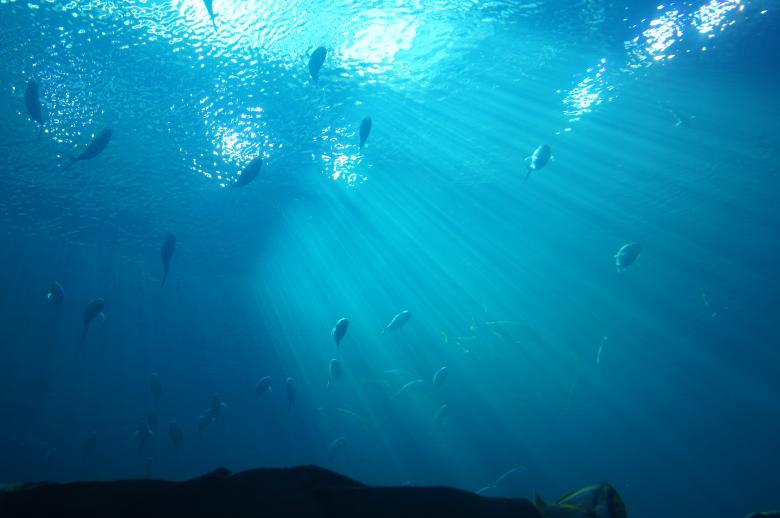 Free stock image of Underwater created by Jon Estes