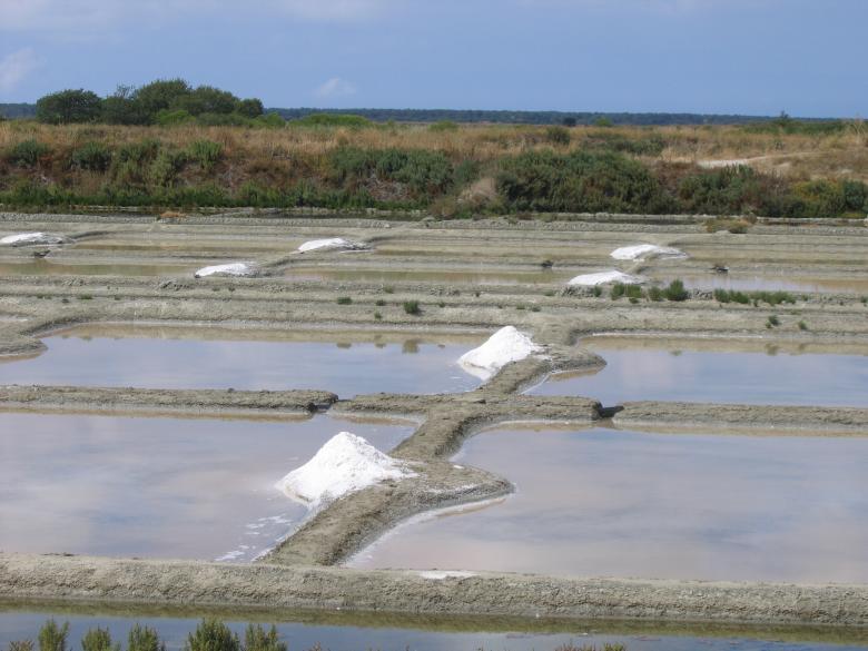 Free stock image of Salt Marsh created by Stéphanie Ghesquier