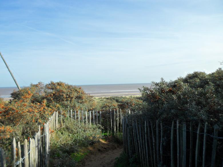 Free stock image of Beach 35 created by Georgina DeBurca