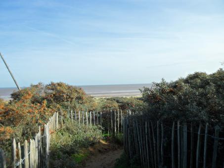 Beach 35 - Free Stock Photo
