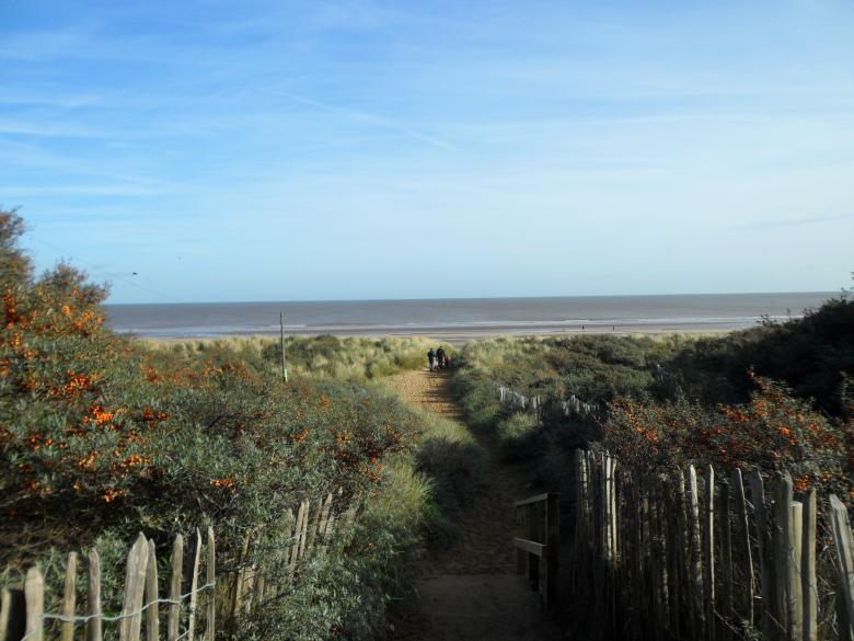 Free stock image of Beach 31 created by Georgina DeBurca