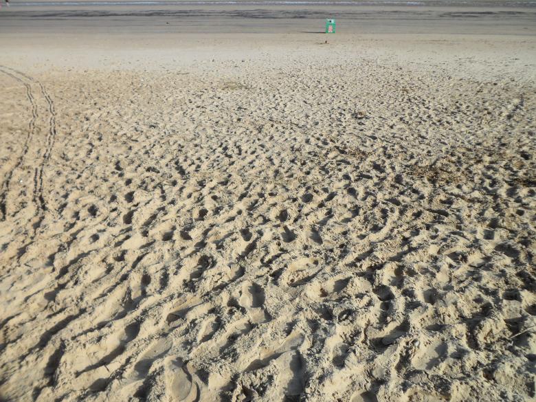 Free stock image of Beach 26 created by Georgina DeBurca