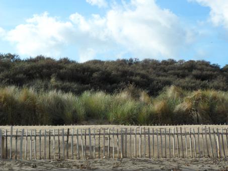 Beach 8 - Free Stock Photo