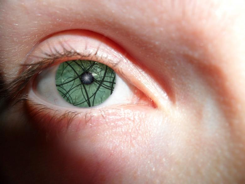 Free stock image of Eye 2 created by Georgina DeBurca