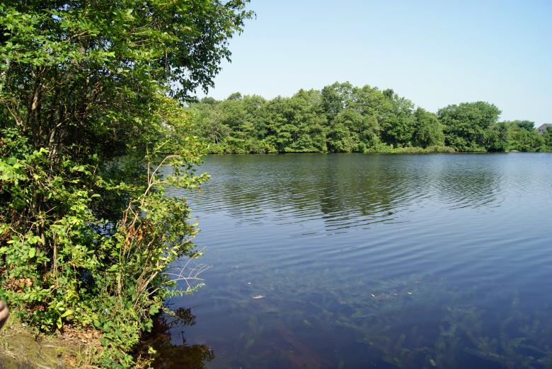 Free stock image of Summer Pond created by Brian Norcross