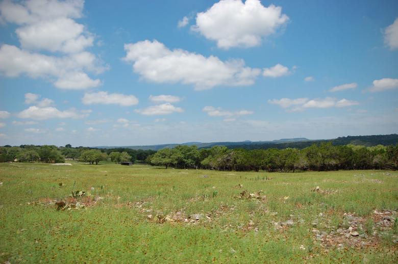 Free stock image of Green landscape created by Adam Garza