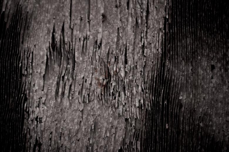 Free stock image of Dark Metallic Texture created by Bjorgvin