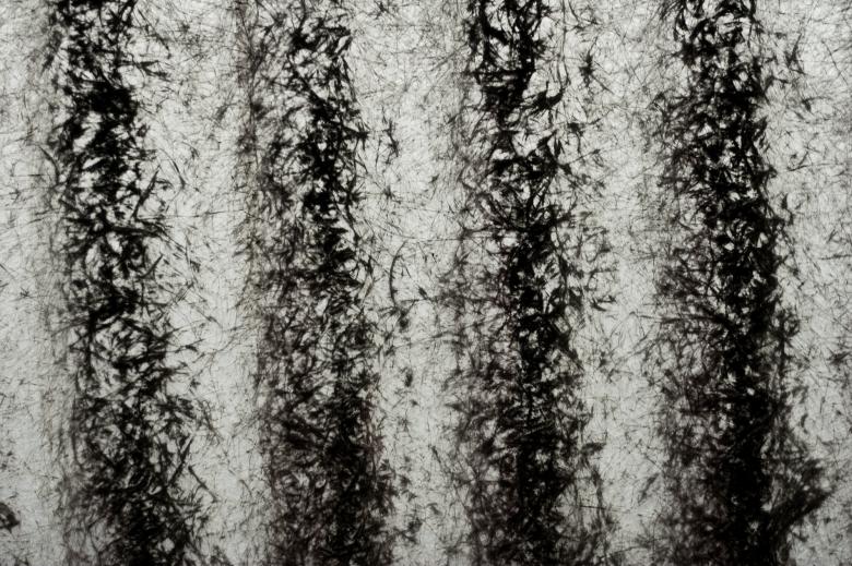 Free stock image of Grunge Texture created by Bjorgvin