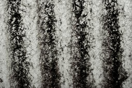 Free Stock Photo of Grunge Texture