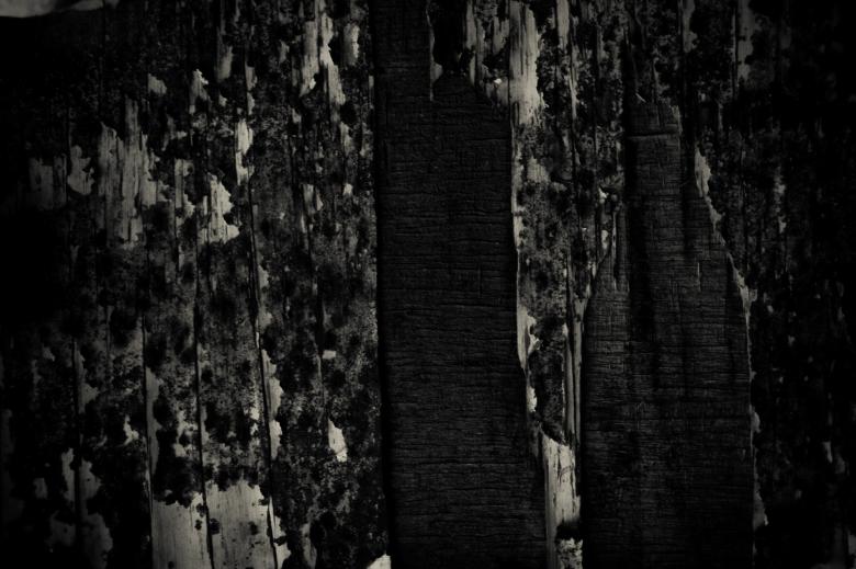 Free stock image of Grunge Wood Texture created by Bjorgvin