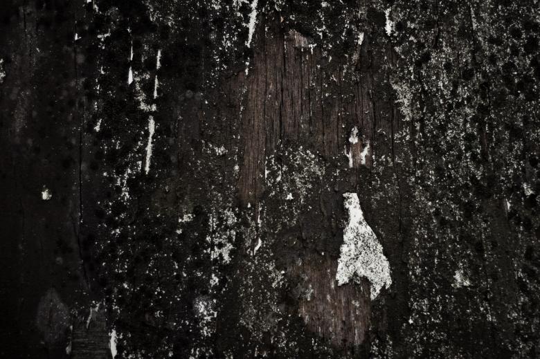 Free stock image of Grunge Wood Texture created by Bjorgvin