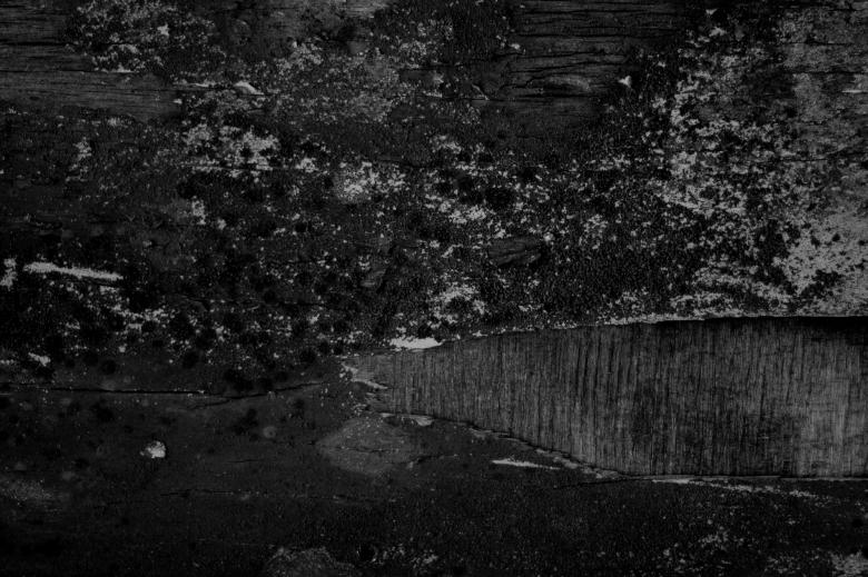 Free stock image of Grunge Wood Texture created by Bjorgvin