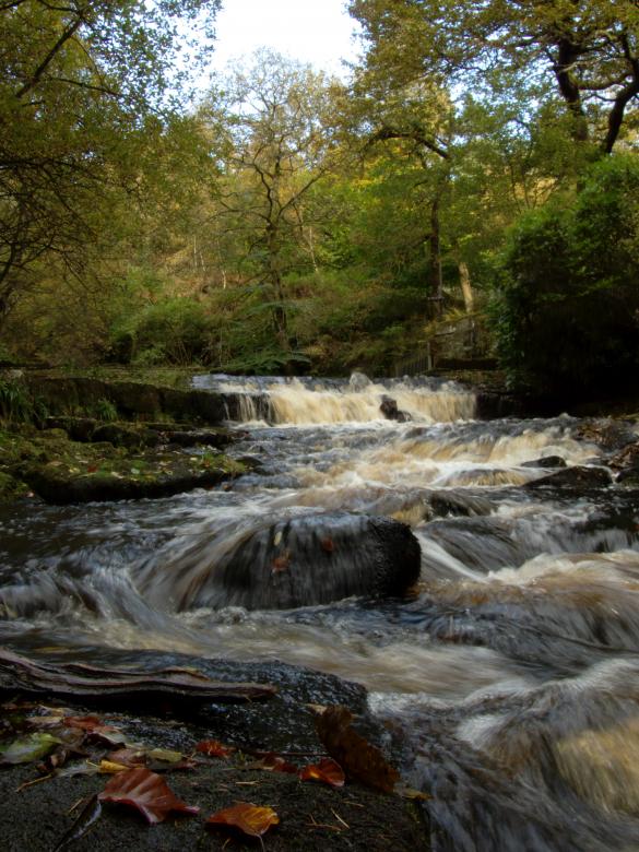 Free stock image of Autumn River created by Jason Clark