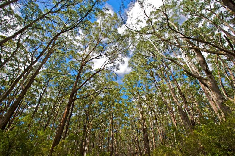 Free stock image of Zenns Australia created by zenn maar
