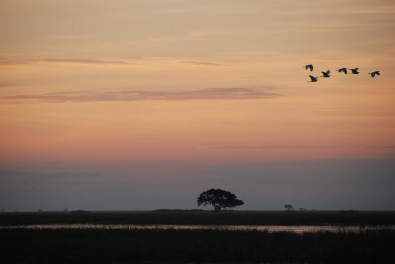 Free stock image of Chobe river sunset created by Kadri Teeväli