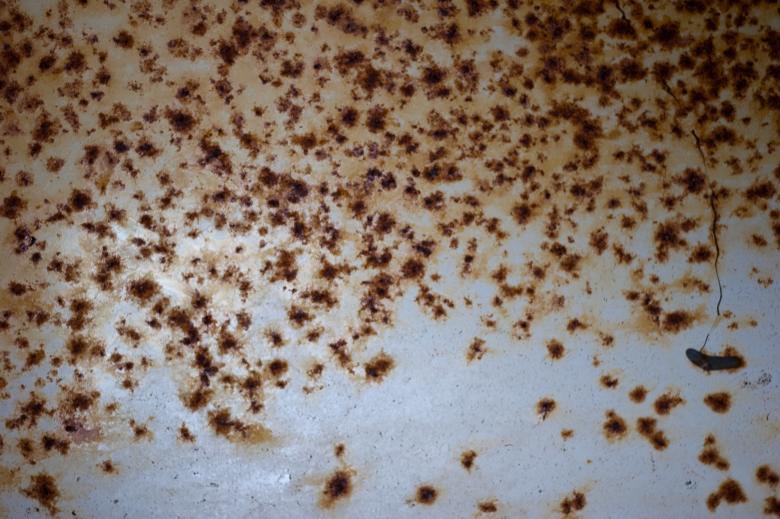 Free stock image of Rusted Metal Texture created by Bjorgvin