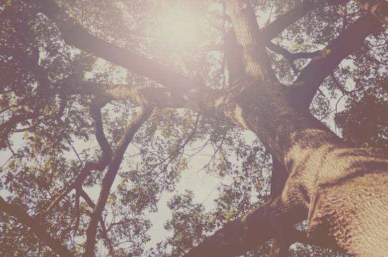 Free stock image of Dreams created by Dasha