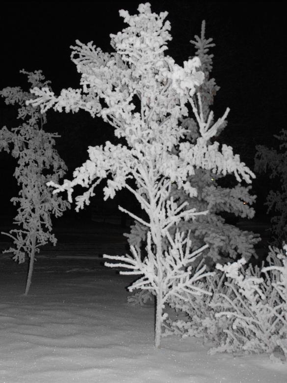 Free stock image of Horror frost created by Kyla M