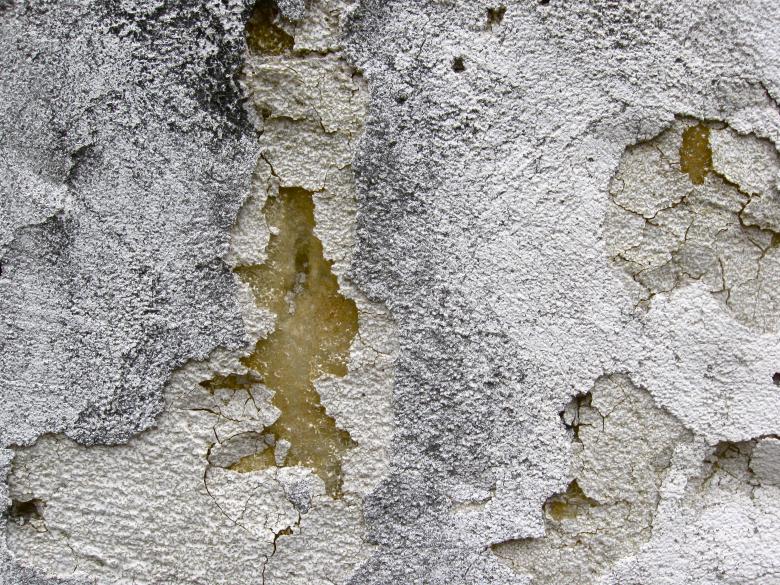 Free stock image of Eaten created by Trent Ellingsen