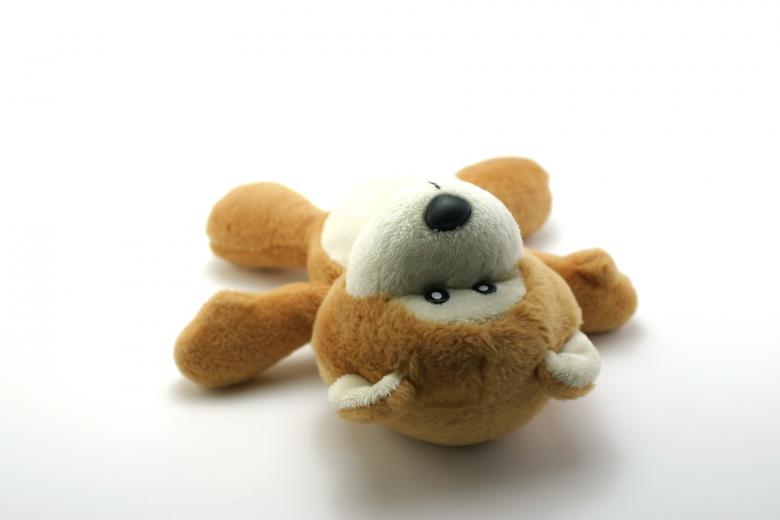 Free stock image of Classic teddy bear on white created by homero chapa