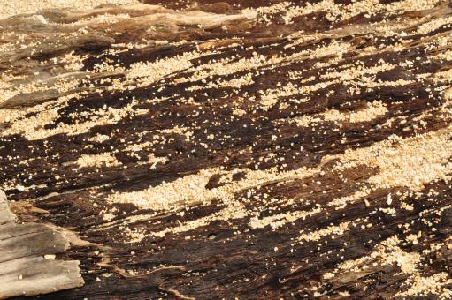 Wood and sand