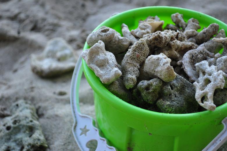 Free stock image of Corals in a toy pail created by Eduardo Cleofe
