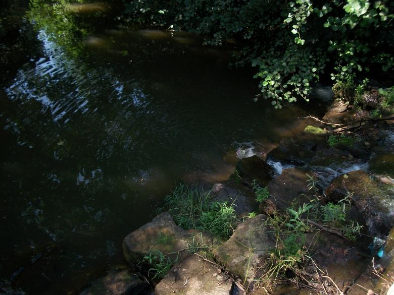 Free stock image of River of Life Obstacles created by Christophe Valente de Paiva