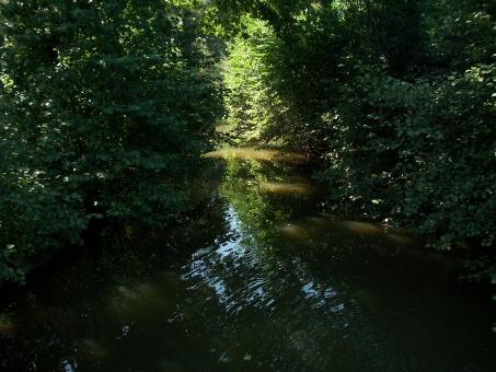 Water Path to the Light - Free Stock Photo