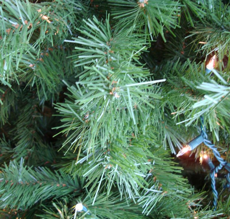 Free stock image of Christmas tree branch created by Nathan Bierma