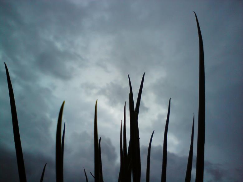 Free stock image of Cloudy created by sutrisno