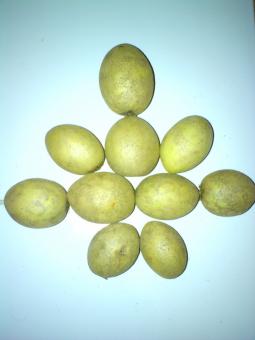 Sapodilla fruit garnish - Free Stock Photo