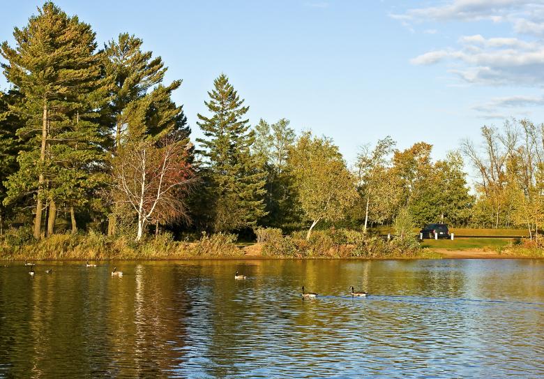Free stock image of Autumn Scene created by Randen Pederson