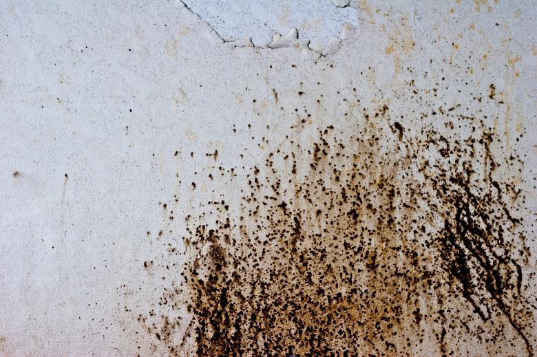 Free stock image of Rusted Wall created by Bjorgvin
