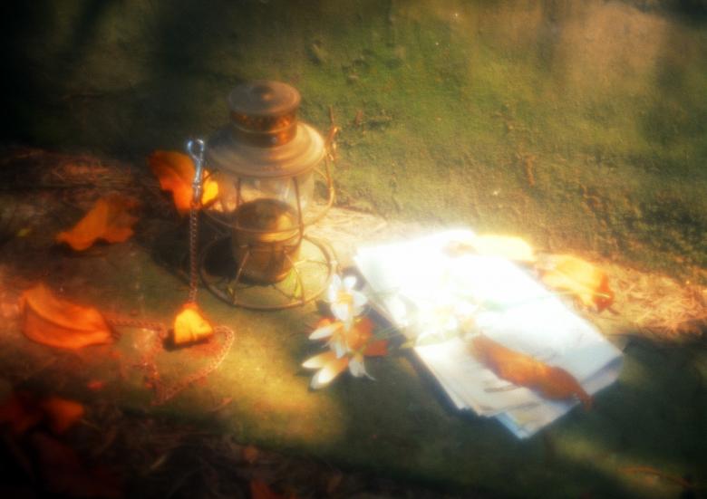Free stock image of Lamp and leaves created by Henry Huy