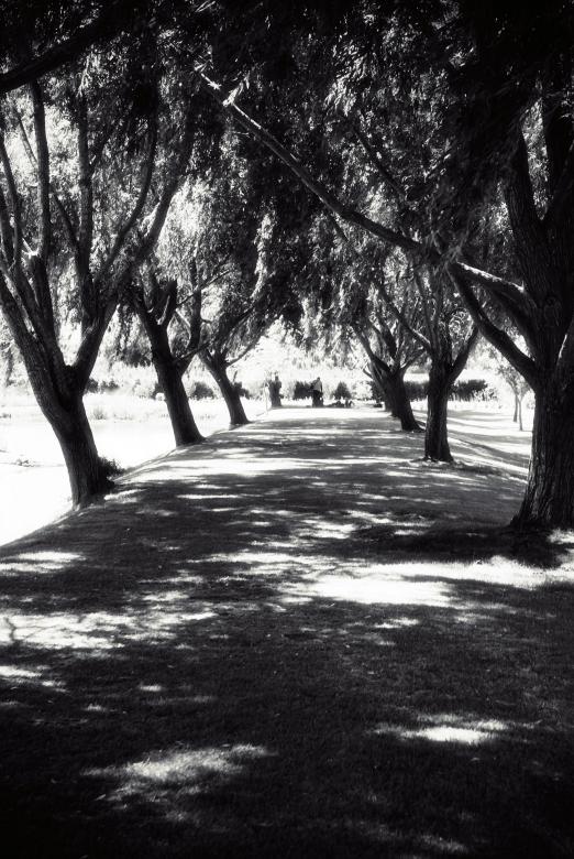 Free stock image of The Walkway created by Charl Christiani