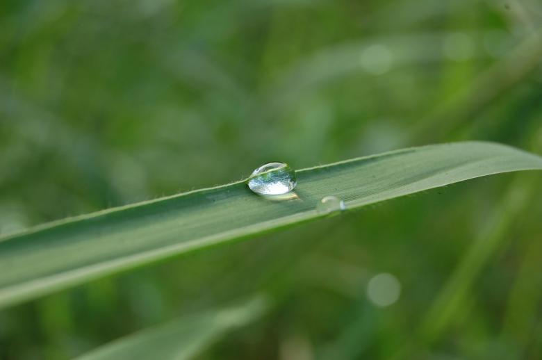 Free stock image of Lucky Drop created by sijo jacob thomas 