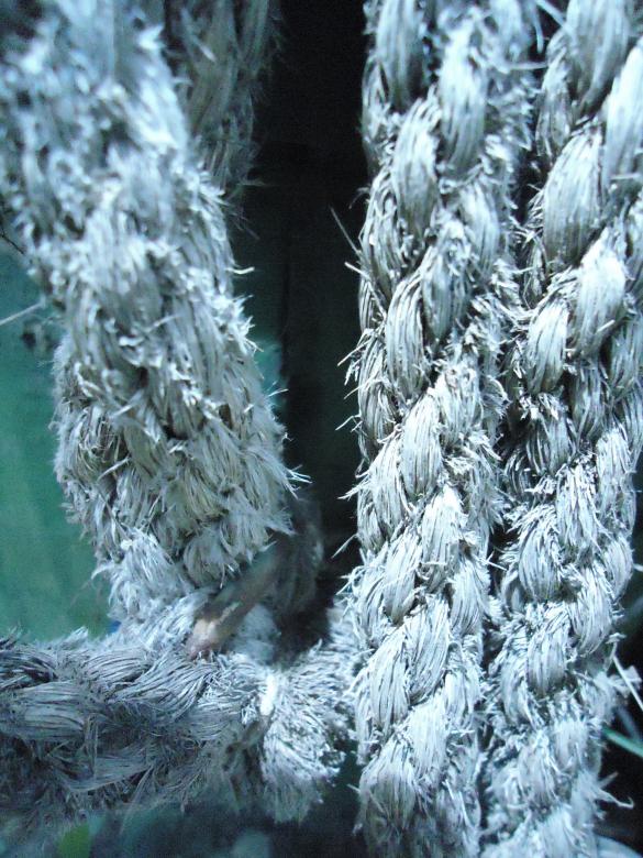 Free stock image of Rope created by João Gomes da Silva Brás