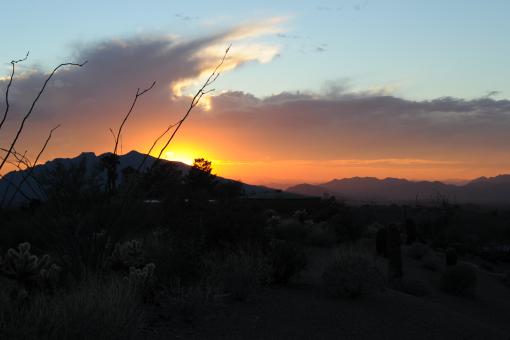 Arizona Sunset - Free Stock Photo