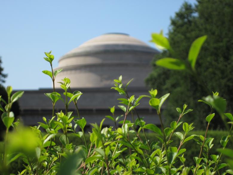 Free stock image of MIT building thru hedge created by Skylar Jay