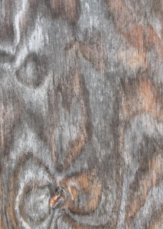 Free stock image of Wood Texture created by Free Texture Friday